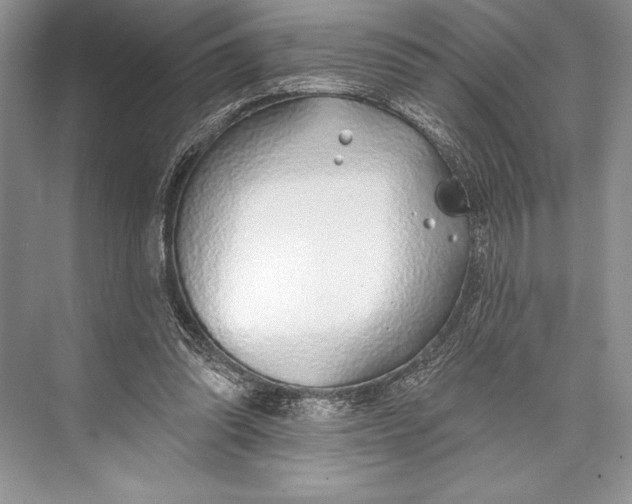 X0000074960302200609221804