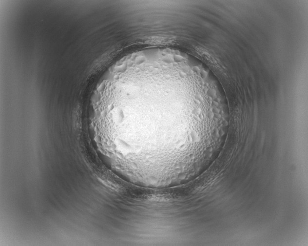 X0000074960303200609221804