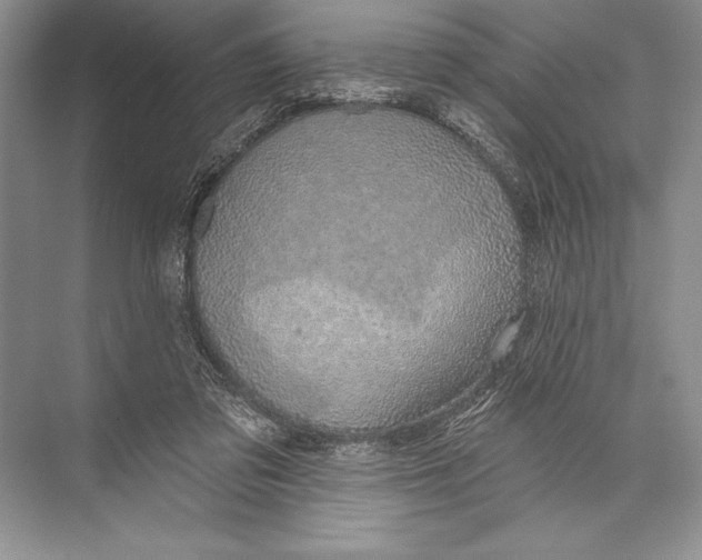 X0000074960309200609221804