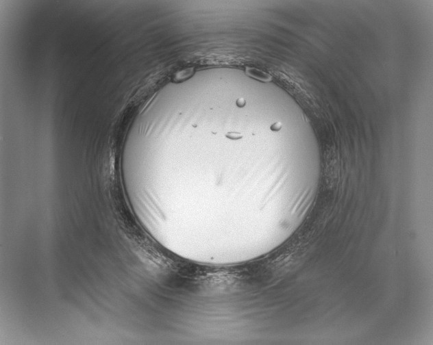 X0000074960310200609221804