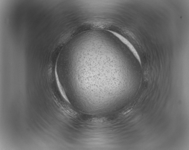 X0000074960314200609221804