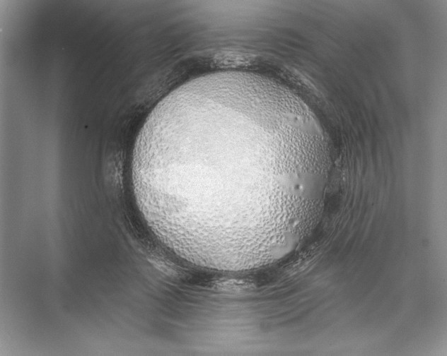 X0000074960315200609221804