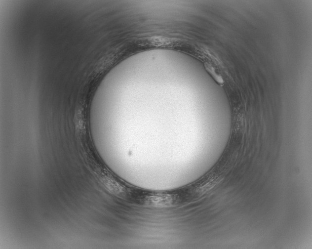 X0000074960317200609221804