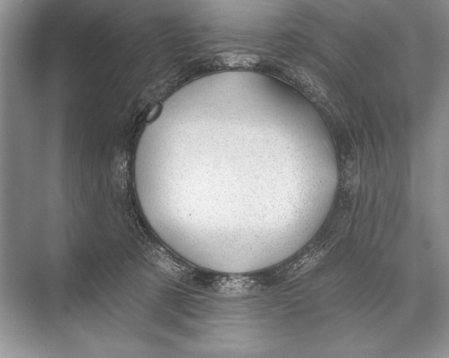 X0000074960321200609221803