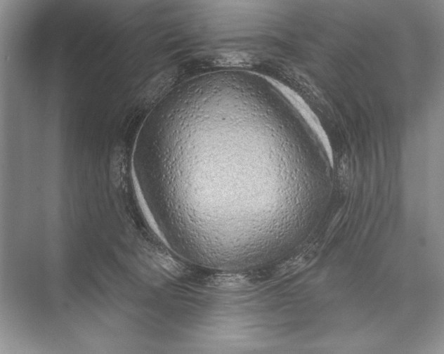 X0000074960322200609221803