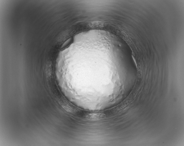 X0000074960323200609221803