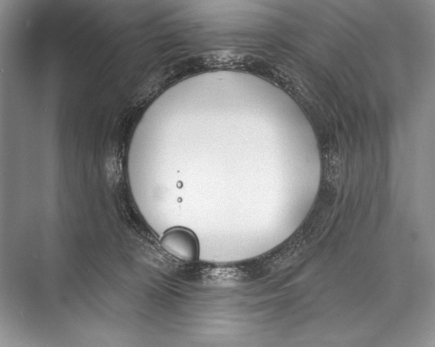 X0000074960324200609221803