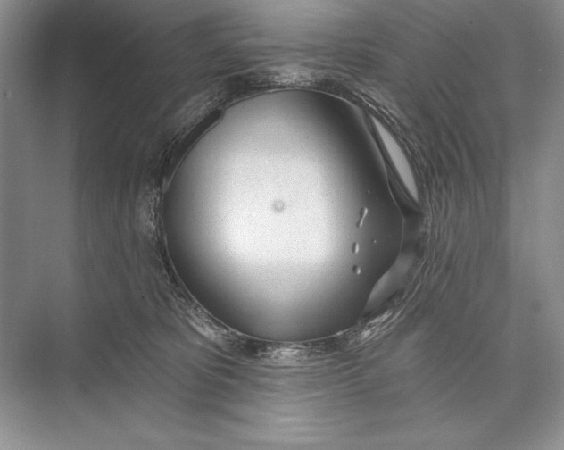 X0000074960325200609221803