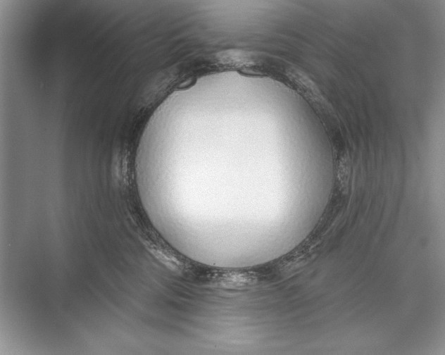 X0000074960330200609221803