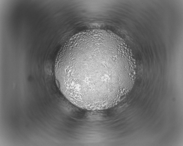 X0000074960331200609221803