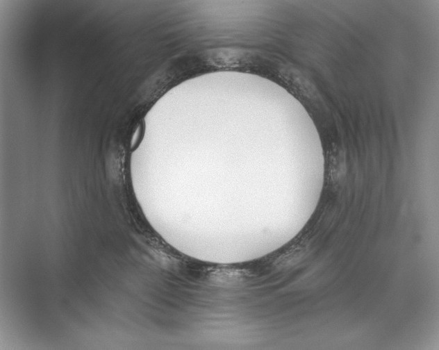 X0000074960332200609221803