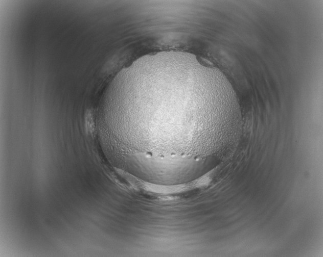 X0000074960335200609221803