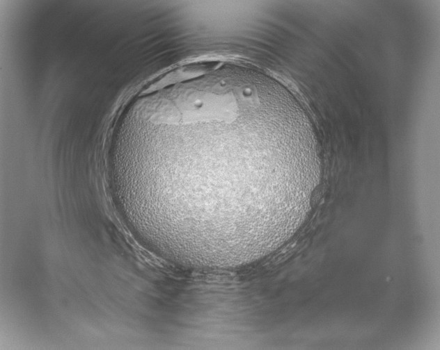 X0000074960337200609221802