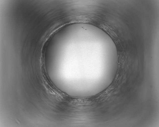 X0000074960338200609221802