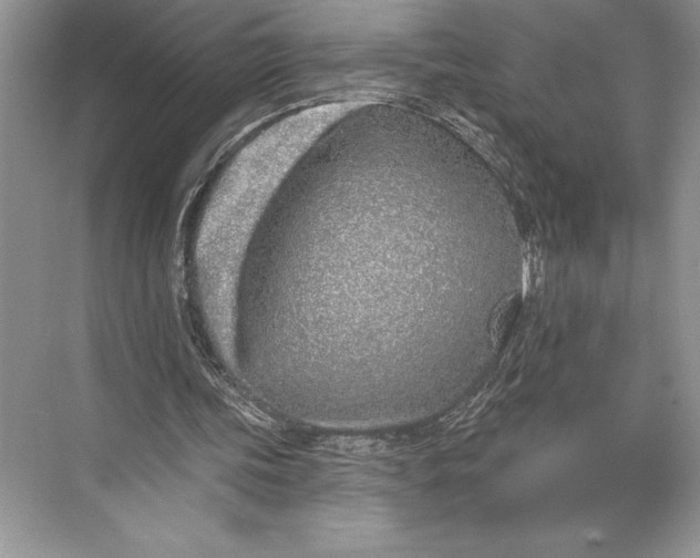 X0000074960339200609221802