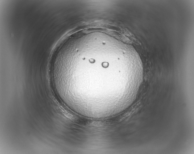 X0000074960341200609221802