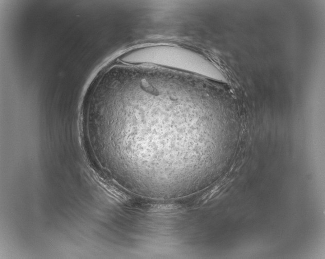 X0000074960342200609221802