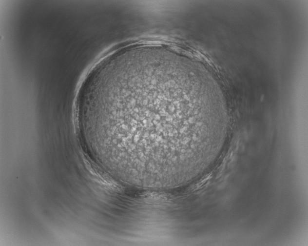 X0000074960343200609221802