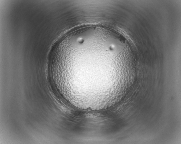 X0000074960346200609221803