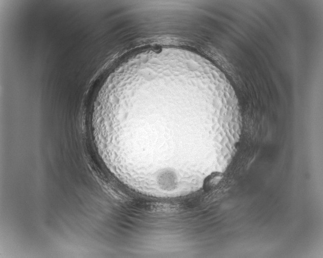 X0000074960347200609221803