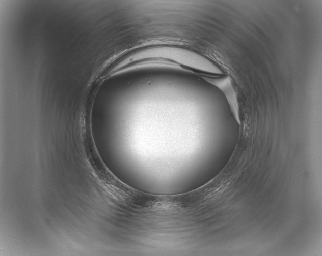 X0000074960348200609221803