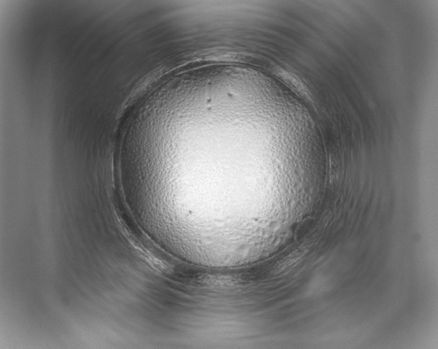 X0000074960349200609221803