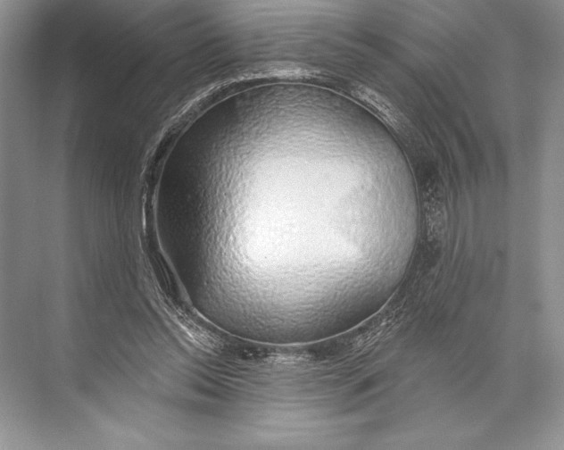 X0000074960350200609221803