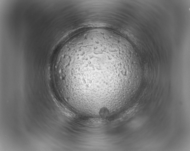 X0000074960351200609221803