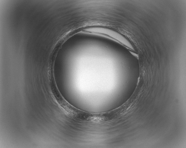 X0000074960352200609221803