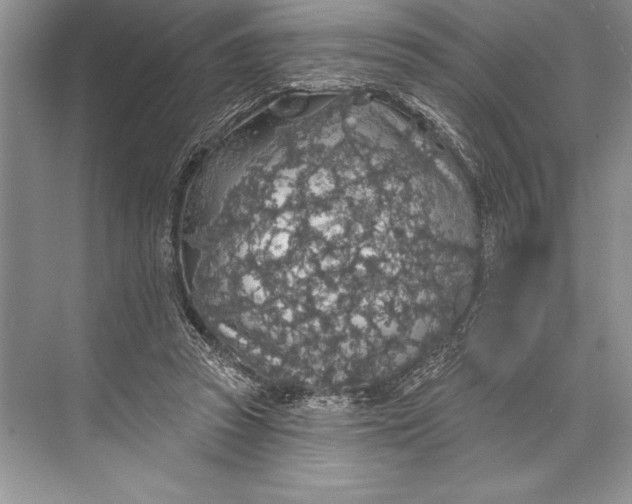 X0000074960353200609221803