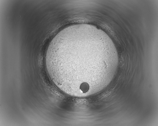 X0000074960355200609221803