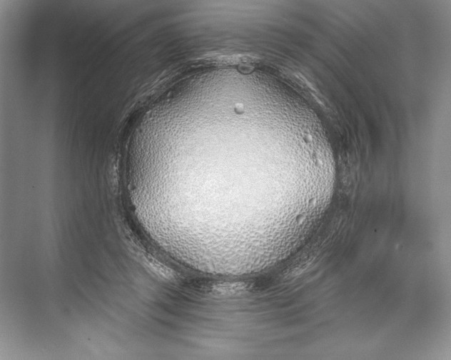 X0000074960357200609221803