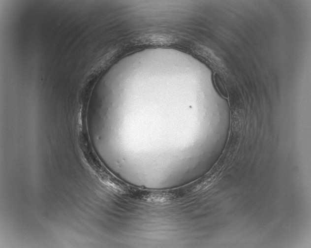 X0000074960358200609221803