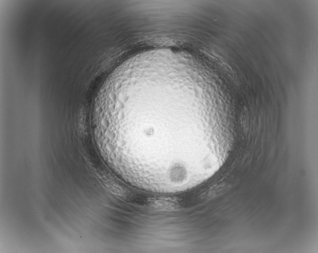 X0000074960359200609221803