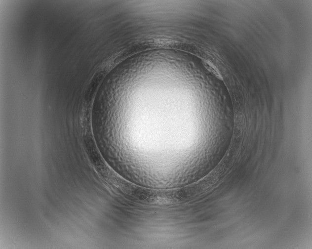 X0000074960360200609221803