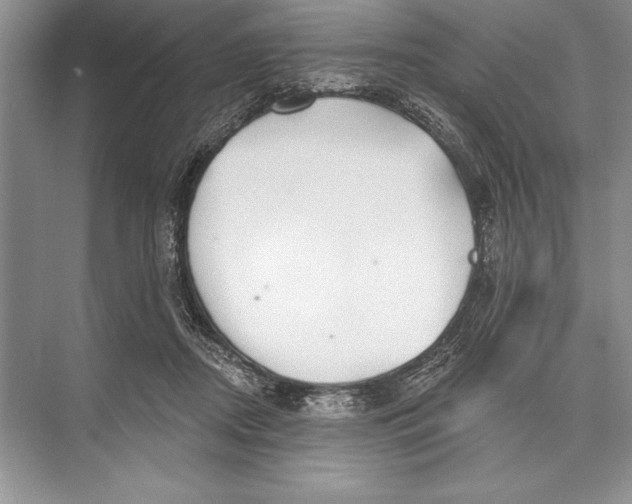 X0000074960362200609221803