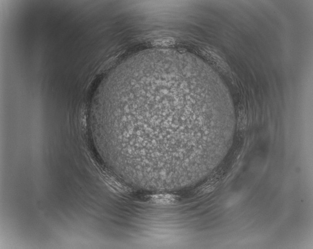 X0000074960363200609221803