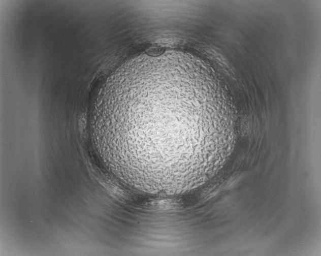 X0000074960365200609221803