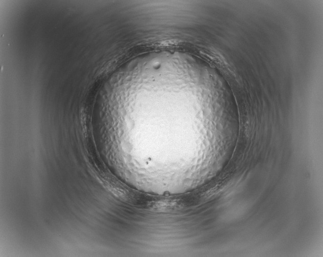 X0000074960366200609221803