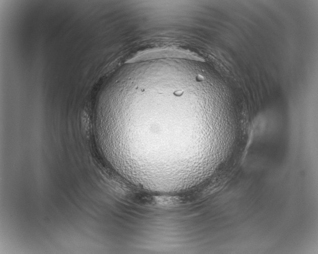 X0000074960371200609221803