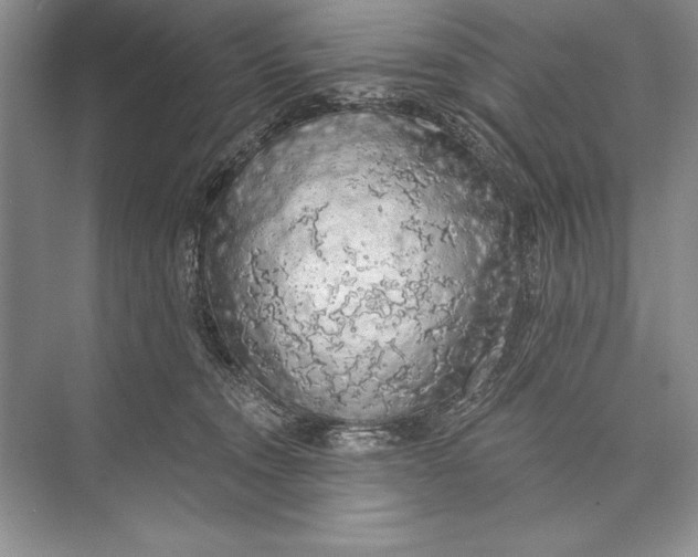 X0000074960372200609221803