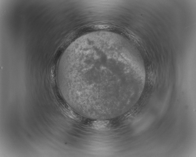 X0000074960373200609221803