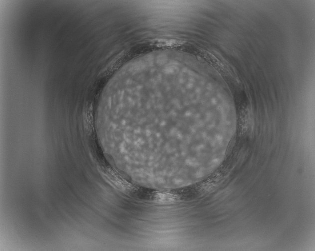 X0000074960376200609221803