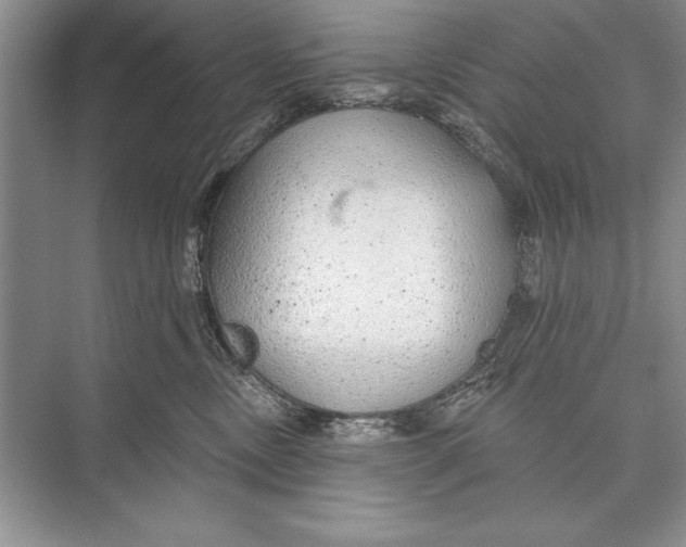 X0000074960378200609221803