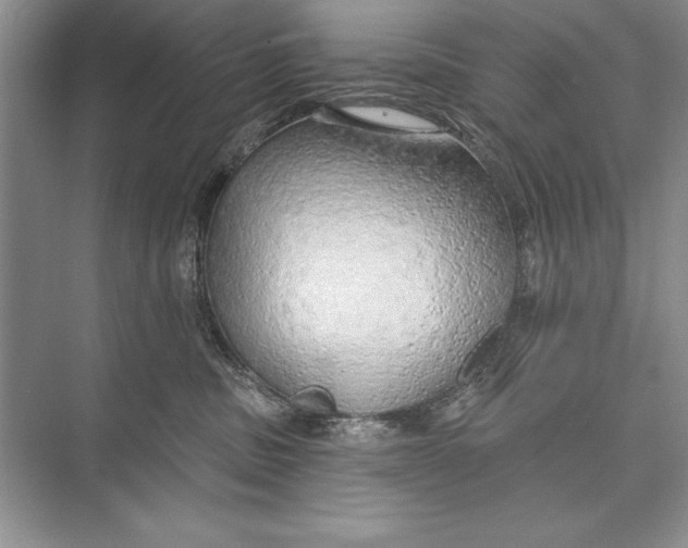 X0000074960379200609221803