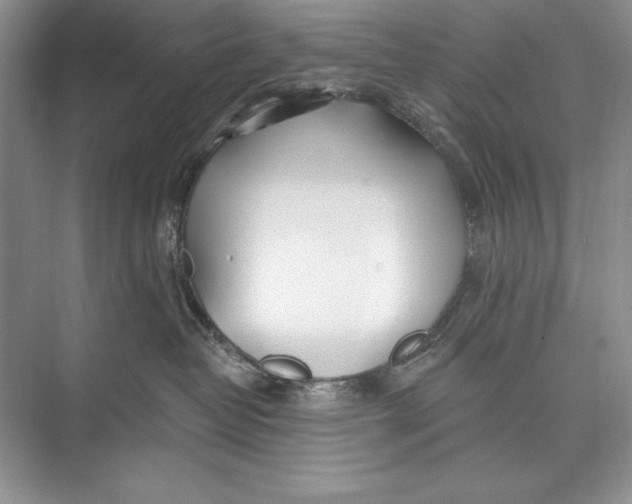 X0000074960382200609221803