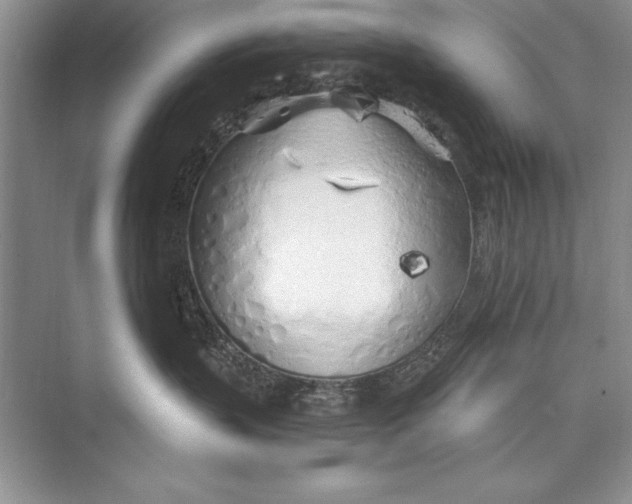 X0000074960383200609221803