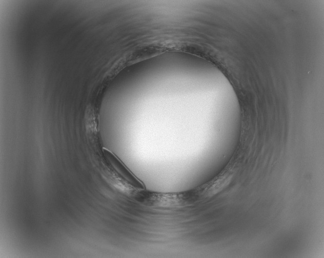 X0000074960384200609221803