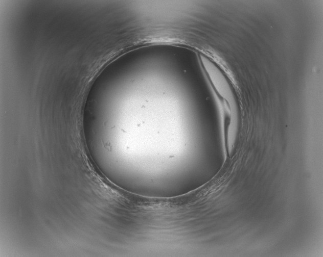 X0000074960385200609221802