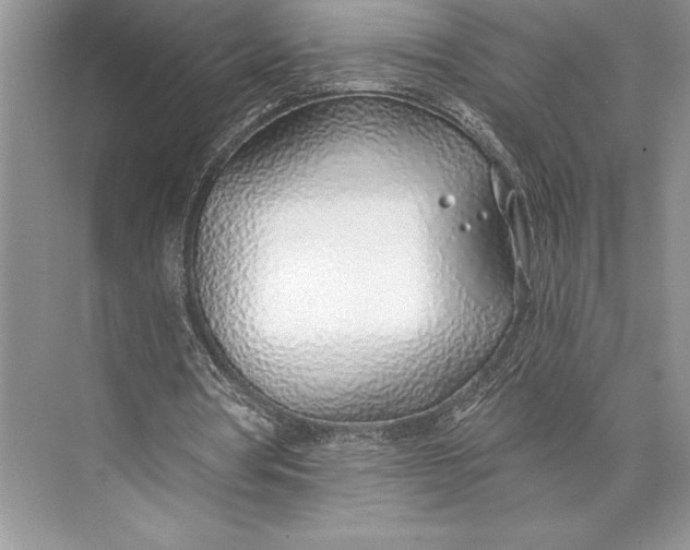 X0000074960386200609221802